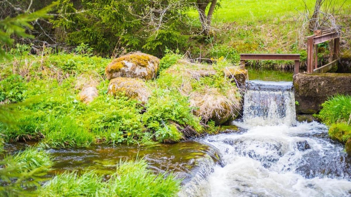 Schwarzwald Lodge Inselklause Schönwalde Eksteriør bilde